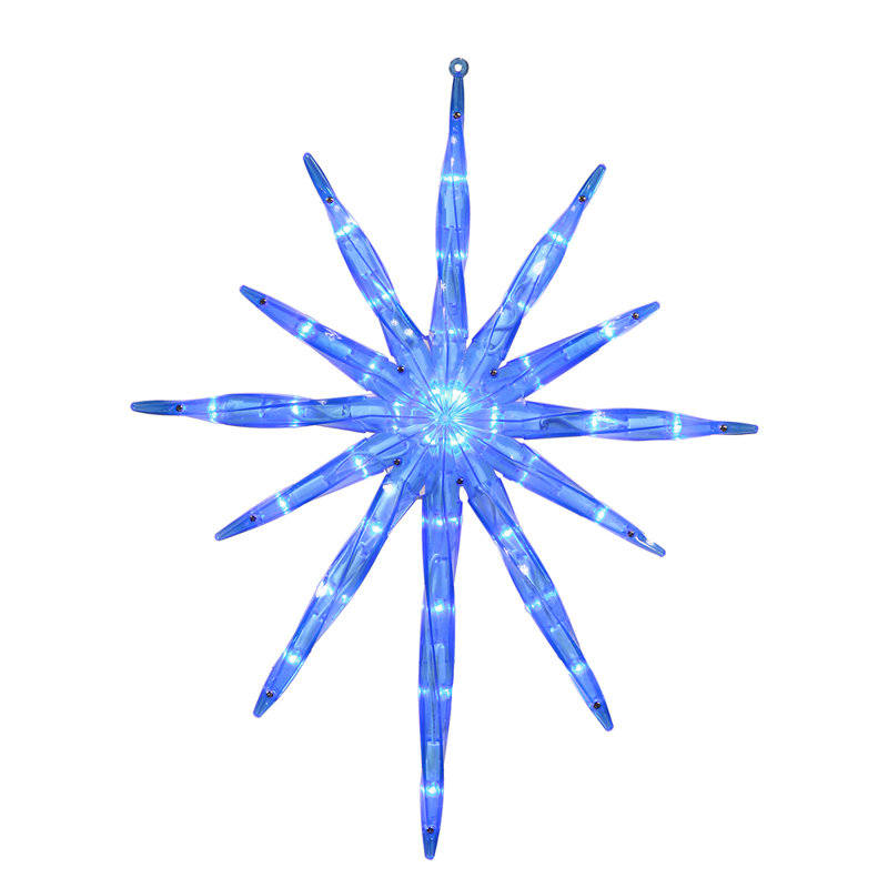 The Holiday Aisle Starburst 35 LED Novelty Light & Reviews Wayfair